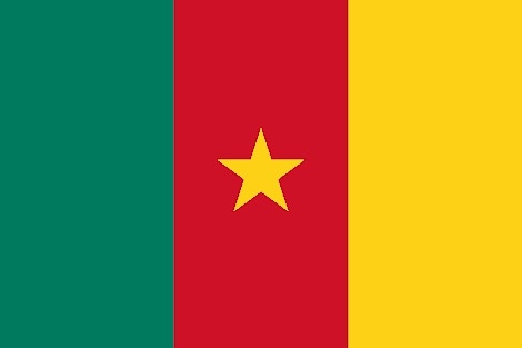 Mobile money fueling e-commerce in Cameroon